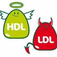 HDL, LDL