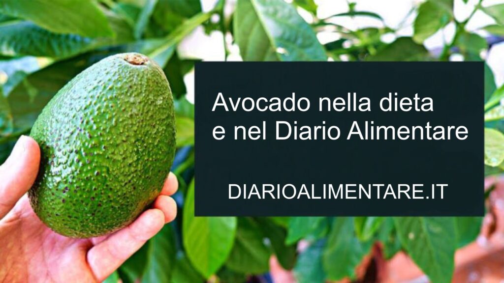 Avocado e diete